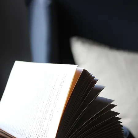 Air Boss Airport And Fair اسطنبول